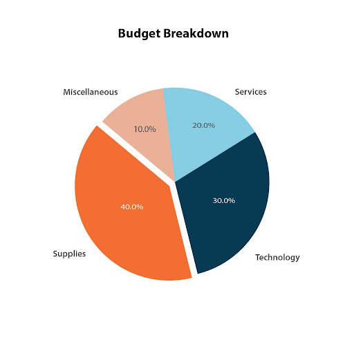 Budget Constraints and Cost Pressures - Budget Breakdown